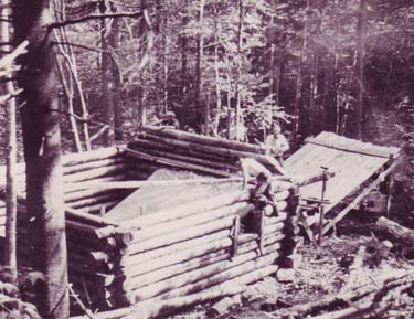 half built log cabin