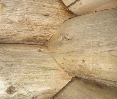 corner of log cabin showing joinery work