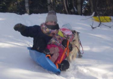 man, child, and dog attempt to fit on sled